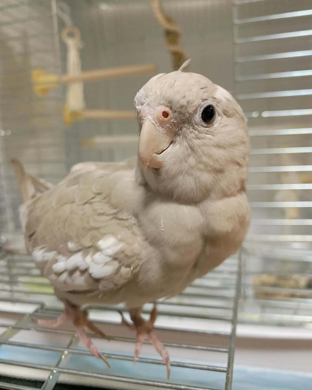 インスタ